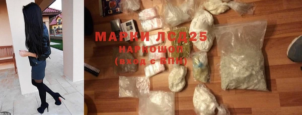 гидра Покровск
