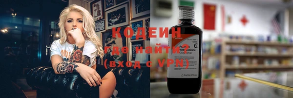 молекула духа Арсеньев