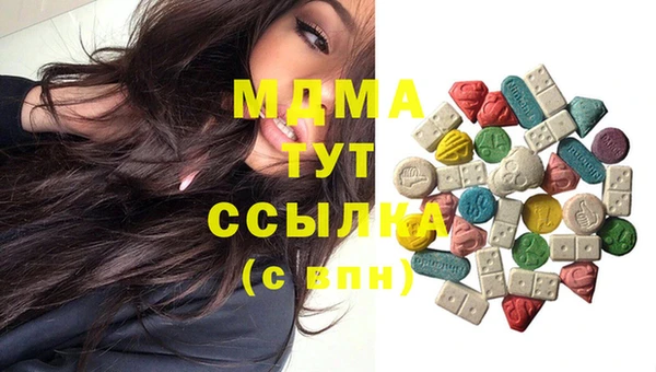 молекула духа Арсеньев