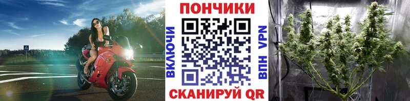 Бошки марихуана тримм  где найти наркотики  кракен маркетплейс  Поворино 